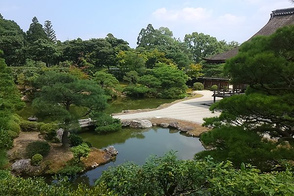 kyoto-private-tour8