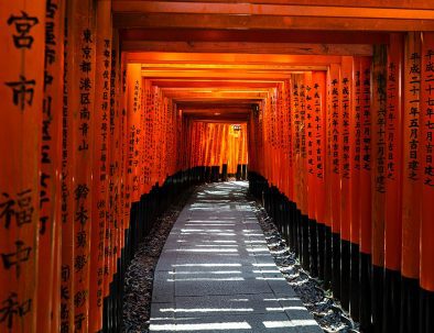 tours-in-kyoto