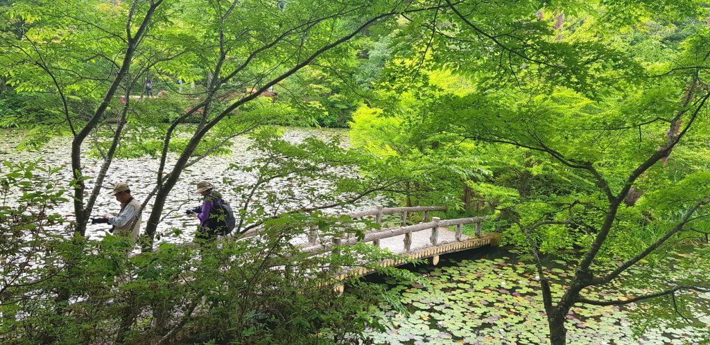 Kobe Botanical Garden