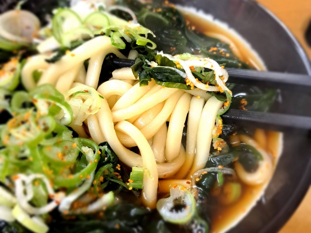 Tokyo udon noodles