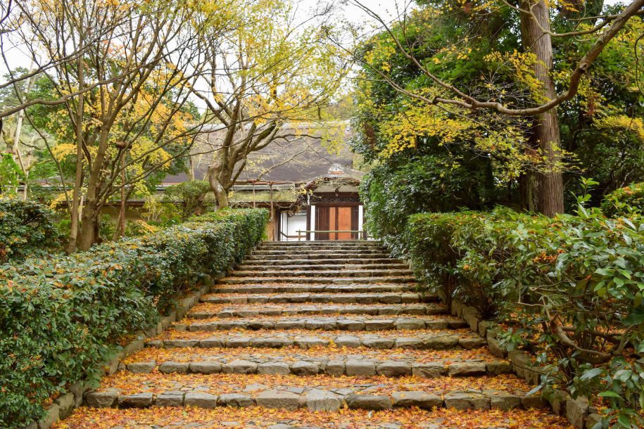 view of ryoanji temple