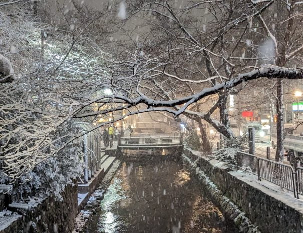 PXL_20230124_090301822