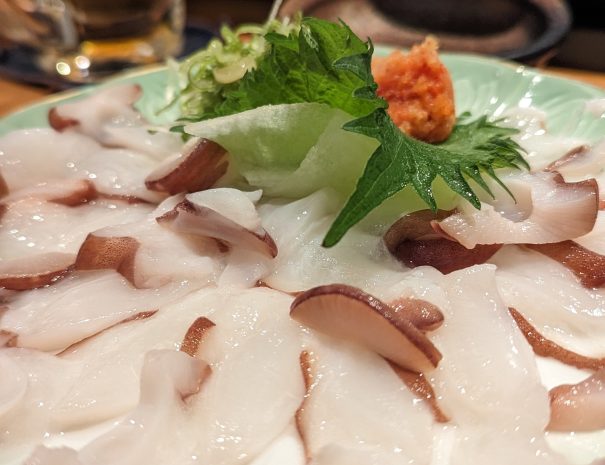 PXL_20240305_101502570.MP